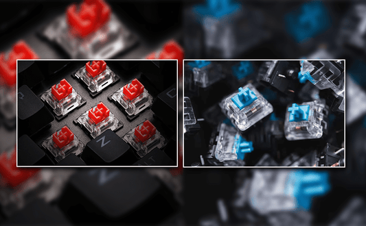 Which is a better purchase: A Red or Blue Switch?